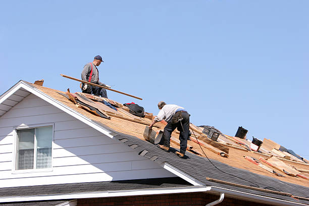 Best Cold Roofs  in Navarre, OH